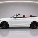Bmw 2.18i Cabrio photo 4