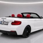 Bmw 2.18i Cabrio photo 1